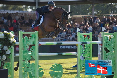 Stiftelsen Falsterbo Horse Show Prize
145cm
Keywords: falsterbo;francesca ciriesi;quincy juice