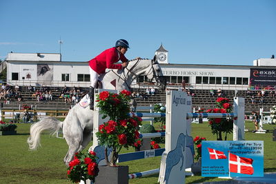 Stiftelsen Falsterbo Horse Show Prize
145cm
Keywords: falsterbo;aaron vale;styles