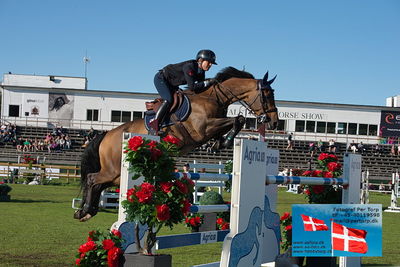 Stiftelsen Falsterbo Horse Show Prize
145cm
Keywords: falsterbo;giulia martinengo marquet;delta delïsle