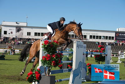 Stiftelsen Falsterbo Horse Show Prize
145cm
Keywords: falsterbo;erica swatz ryan;porche v