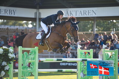 Stiftelsen Falsterbo Horse Show Prize
145cm
Keywords: falsterbo;erica swatz ryan;porche v