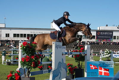 Stiftelsen Falsterbo Horse Show Prize
145cm
Keywords: falsterbo;amanda landeblad;little clara