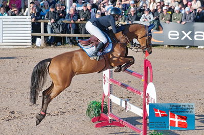 fQualifier for Agria Grand Prix 150cm
Keywords: falsterbo;oda charlotte lyngvaer;kyfo