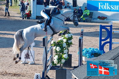 fQualifier for Agria Grand Prix 150cm
Keywords: falsterbo