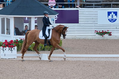 Dresuur 7 års championats finale
Keywords: falsterbo;dk;helene brinck;moelvangs kasmir