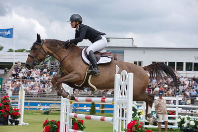 Horseware 7-årschampionat | Final - 1.40
Keywords: falsterbo;showjumping;sarah albus;big centaire