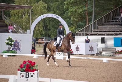 CDI1 Lilla Rundan Intermediaire I presented by Novare
Keywords: dressur;falsterbo;trude hestengen;svalegaards hot boy
