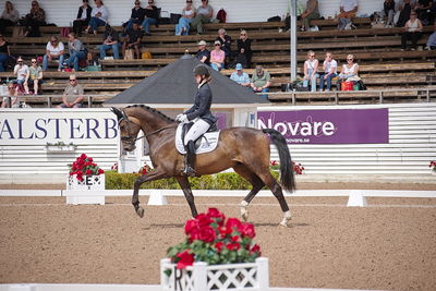 CDI1 Lilla Rundan Intermediaire I presented by Novare
Keywords: dressur;falsterbo;trude hestengen;svalegaards hot boy