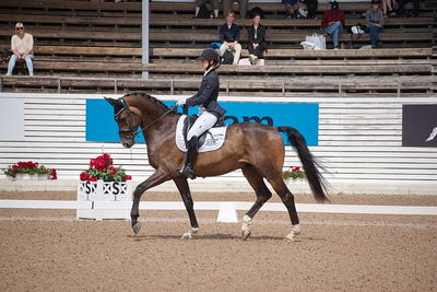 CDI1 Lilla Rundan Intermediaire I presented by Novare
Keywords: dressur;falsterbo;trude hestengen;svalegaards hot boy
