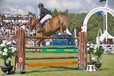 CSIO5 Rolex Grand Prix
Keywords: falsterbo;showjumping;mel thjisen;grieg s