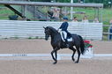 Filename=PT2_1735.JPG
Filesize=212KiB
Dimensions=800x531
Date added=Jul 12, 2025 PT2_1735.JPG