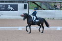 Filename=PT2_1736.JPG
Filesize=243KiB
Dimensions=800x531
Date added=Jul 12, 2025 PT2_1736.JPG