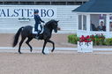 Filename=PT2_1740.JPG
Filesize=245KiB
Dimensions=800x531
Date added=Jul 12, 2025 PT2_1740.JPG