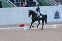 Filename=PT2_1746.JPG
Filesize=227KiB
Dimensions=800x531
Date added=Jul 12, 2025 PT2_1746.JPG