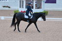 Filename=PT2_1748.JPG
Filesize=250KiB
Dimensions=800x531
Date added=Jul 12, 2025 PT2_1748.JPG