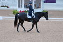 Filename=PT2_1749.JPG
Filesize=242KiB
Dimensions=800x531
Date added=Jul 12, 2025 PT2_1749.JPG