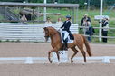 Filename=PT2_1754.JPG
Filesize=218KiB
Dimensions=800x531
Date added=Jul 12, 2025 PT2_1754.JPG