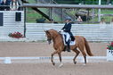Filename=PT2_1755.JPG
Filesize=237KiB
Dimensions=800x531
Date added=Jul 12, 2025 PT2_1755.JPG
