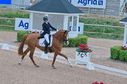 Filename=PT2_1766.JPG
Filesize=258KiB
Dimensions=800x531
Date added=Jul 12, 2025 PT2_1766.JPG