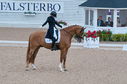 Filename=PT2_1770.JPG
Filesize=244KiB
Dimensions=800x531
Date added=Jul 12, 2025 PT2_1770.JPG