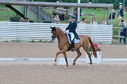 Filename=PT2_1776.JPG
Filesize=215KiB
Dimensions=800x531
Date added=Jul 12, 2025 PT2_1776.JPG