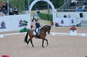 Filename=PT2_1798.JPG
Filesize=256KiB
Dimensions=800x531
Date added=Jul 12, 2025 PT2_1798.JPG