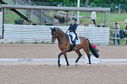 Filename=PT2_1800.JPG
Filesize=223KiB
Dimensions=800x531
Date added=Jul 12, 2025 PT2_1800.JPG