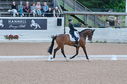 Filename=PT2_1807.JPG
Filesize=249KiB
Dimensions=800x531
Date added=Jul 12, 2025 PT2_1807.JPG