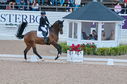 Filename=PT2_1816.JPG
Filesize=241KiB
Dimensions=800x531
Date added=Jul 12, 2025 PT2_1816.JPG