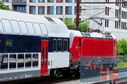 DSC_4350.jpg