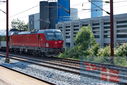PT9_3591.jpg