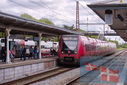 PT9_3190.jpg