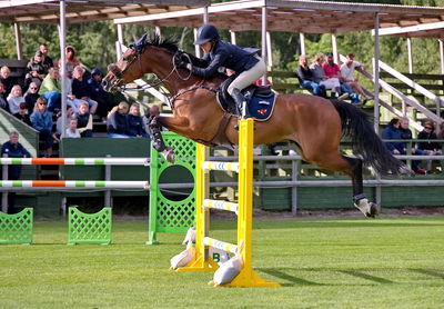 Horseware 7-års Championat hoppning
Keywords: pt;elin sjögren;curt