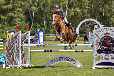 2Folksam Open hoppning 5-åriga hästar
Keywords: pt;sonny sandfeld moisen;coeur de d&#039;or