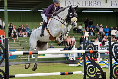 Stiftelsen Falsterbo Horse Show Prize
Keywords: pt;marie valder longem;clarity