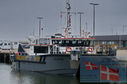 Filename=DSC_2598.jpg
Filesize=284KiB
Dimensions=1229x814
Date added=Oct 25, 2025 DSC_2598.jpg