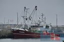 Filename=DSC_2603.jpg
Filesize=275KiB
Dimensions=1229x814
Date added=Oct 25, 2025 DSC_2603.jpg