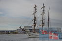 Filename=DSC_8985.jpg
Filesize=300KiB
Dimensions=1229x814
Date added=Oct 25, 2025 DSC_8985.jpg