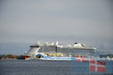 Filename=DSC_9019.jpg
Filesize=260KiB
Dimensions=1229x814
Date added=Oct 25, 2025 DSC_9019.jpg