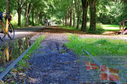 Filename=DSC_9045.jpg
Filesize=667KiB
Dimensions=1229x814
Date added=Oct 25, 2025 DSC_9045.jpg