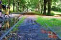 Filename=DSC_9046.jpg
Filesize=621KiB
Dimensions=1229x814
Date added=Oct 25, 2025 DSC_9046.jpg