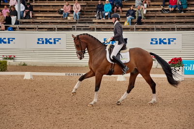 6års dresssur championat finale
Keywords: pt;maria von essen;tjoernelys torento