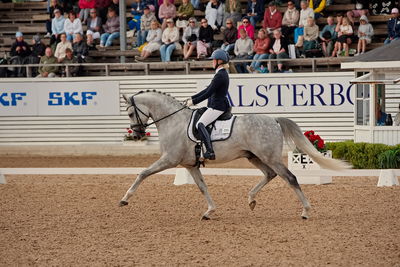 6års dresssur championat finale
Keywords: pt;sissel bille jacobsen;dune nec